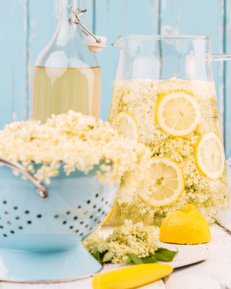 jug_of_elderflower_cordial