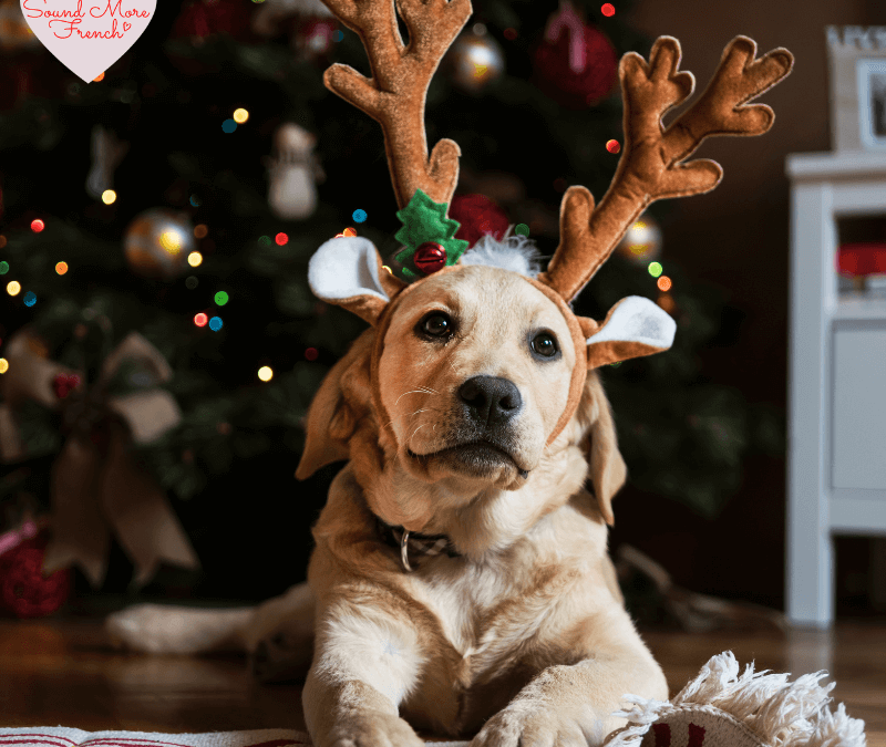 Dog breeds in French