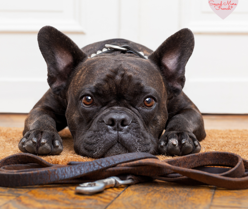Mastering ‘Attendre’: The French Verb for Waiting, Expecting, and More