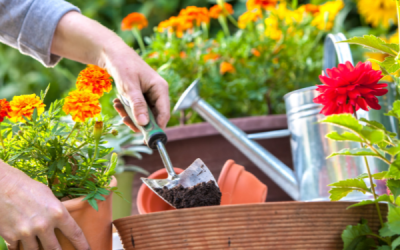 Gardening and Learning French: A Perfect Parallel