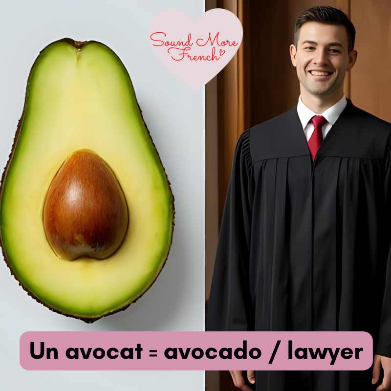 French_word_un_avocat_shown_as_avocado_and_lawyer,_example_of_French_words_with_multiple_meanings.