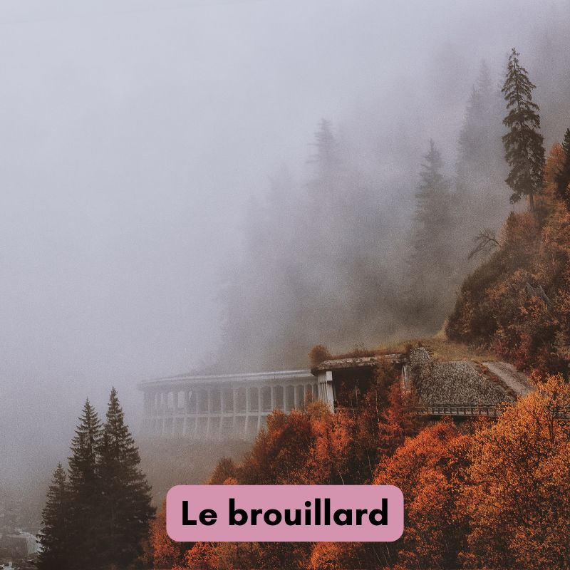 4 foggy_autumn_mountain_scene_with_road_and_trees_labelled_le_brouillard