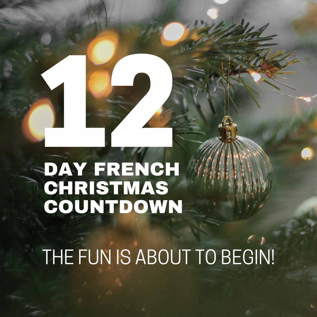 fun is about to begin 12_day_french_christmas_countdown_text_over_christmas_tree_with_gold_bauble_and_fairy_lights_the_fun_is_about_to_begin