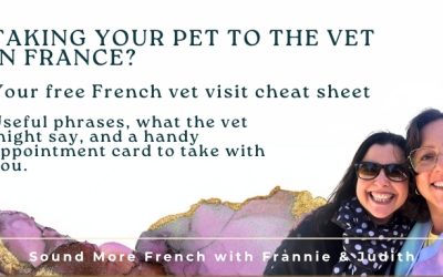 French at the Vet: Useful Phrases for Taking Your Pet to the Vet in France